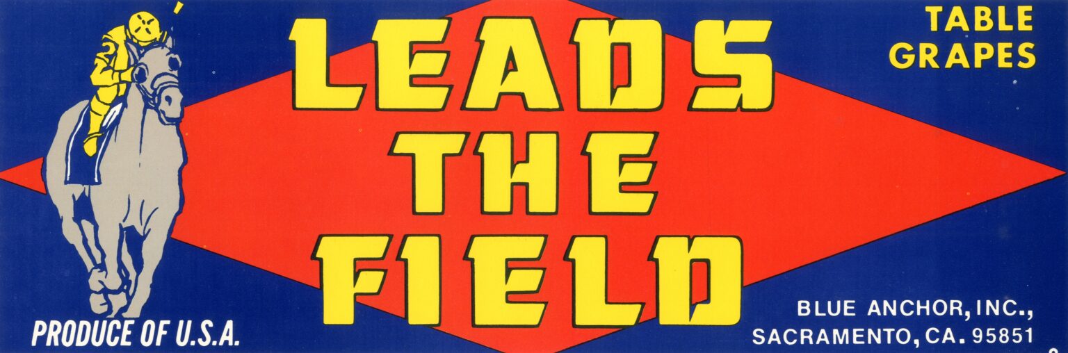 Leads The Field Leads The Field
